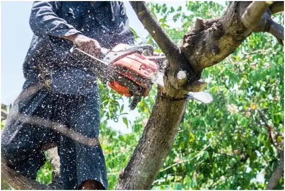 tree services Coulee City